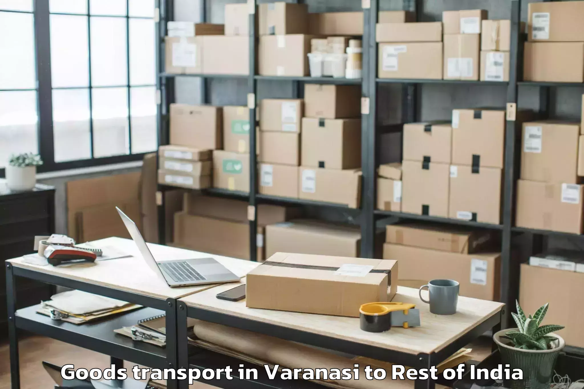 Top Varanasi to Zakhama Goods Transport Available